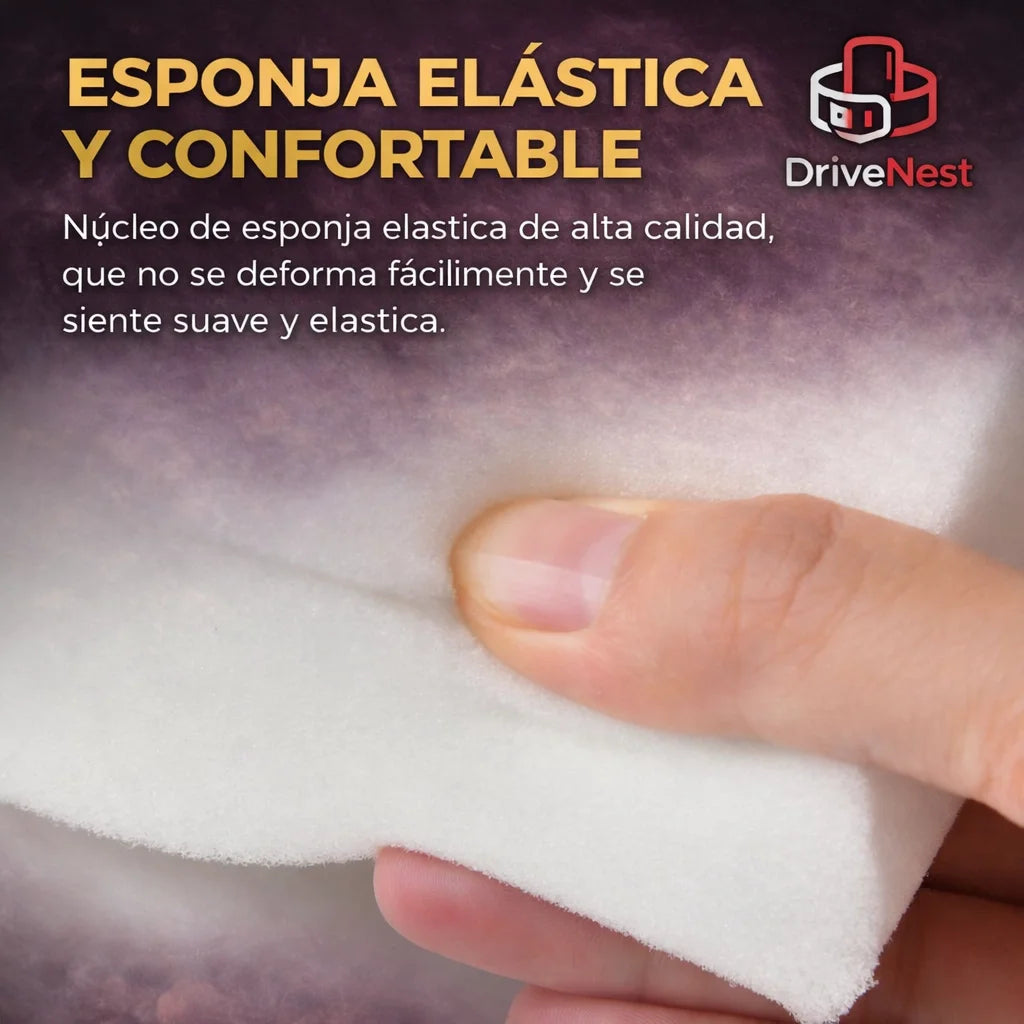 DriveNest ✨ Todo lo que necesitas, justo donde lo precisas